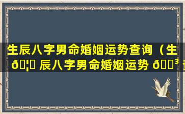 生辰八字男命婚姻运势查询（生 🦉 辰八字男命婚姻运势 🐳 查询大全）